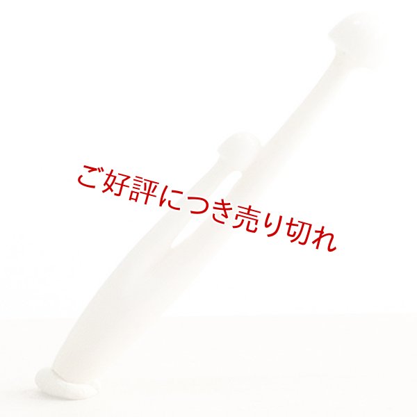 画像1: 象牙根付　えのき（象牙）【岡壱名入り】【桐箱付き】　（2024年3月22日掲載） (1)