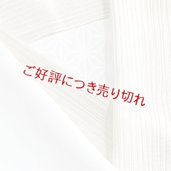 画像1: 単衣半襟　楊柳（きんち）無地　オイスターホワイト（05）