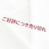 単衣半襟　楊柳（きんち）無地　白（06）