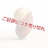 黄楊根付　いかり豆【岡壱名入り】【桐箱付き】　（2024年5月2日掲載）