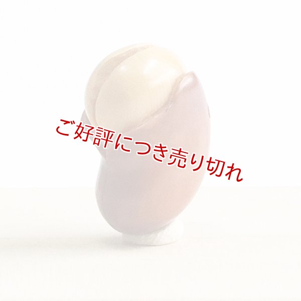 画像1: 黄楊根付　いかり豆【岡壱名入り】【桐箱付き】　（2024年5月2日掲載） (1)