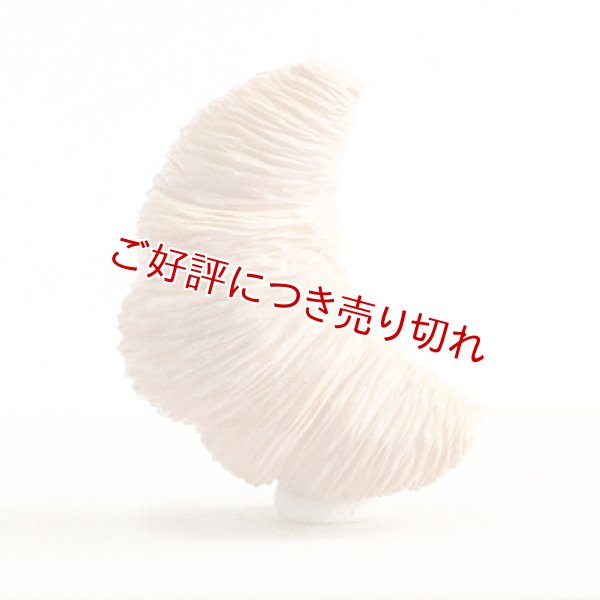 画像1: 黄楊根付　クロワッサン【岡壱名入り】　（2024年5月2日掲載） (1)