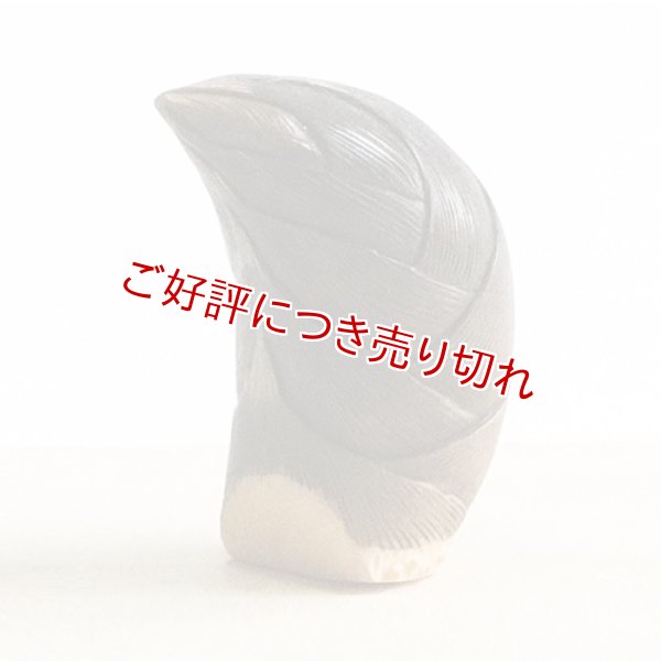 画像1: 黄楊根付　筍【岡壱名入り】【桐箱付き】　（2024年5月2日掲載） (1)