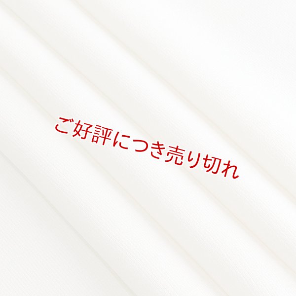 画像1: 帯揚げ　三本絽無地　オフホワイト（03） (1)