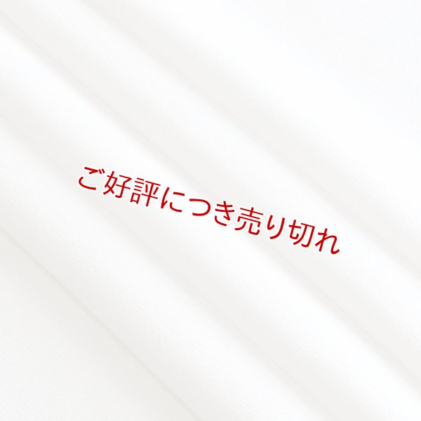 画像1: 帯揚げ　三本絽無地　白（05） (1)