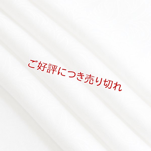 画像1: 帯揚げ 紋紗　アラベスク無地　白（20） (1)