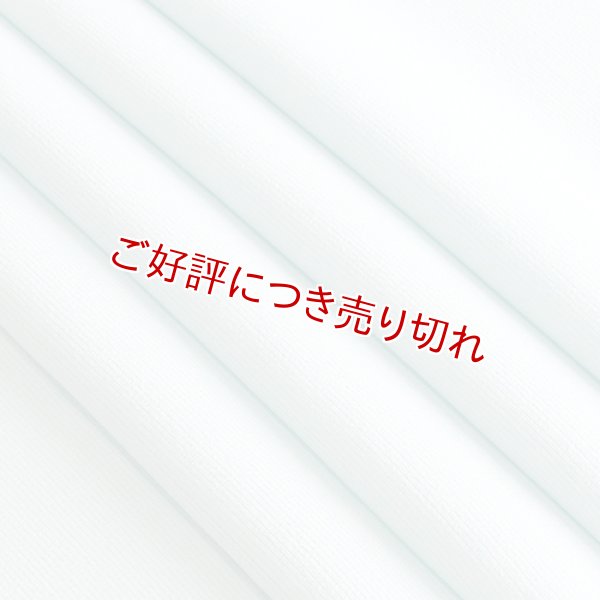 画像1: 帯揚げ　三本絽無地　白藍（しらあい）（04） (1)