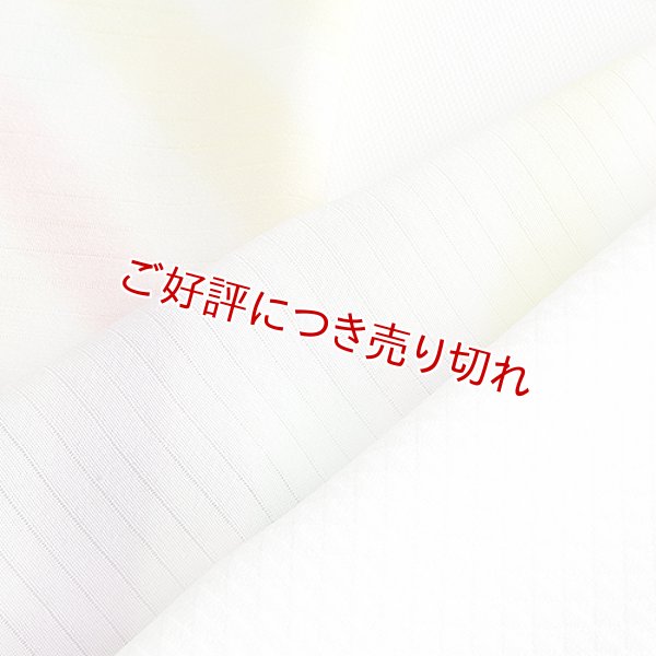 画像1: 半襟 絽　七色タヅナ　はっきり（02） (1)