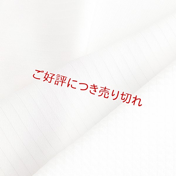 画像1: 半襟 絽　七色タヅナ　はんなり（01） (1)