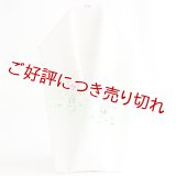 夏物手描き半襟　桔梗にススキ