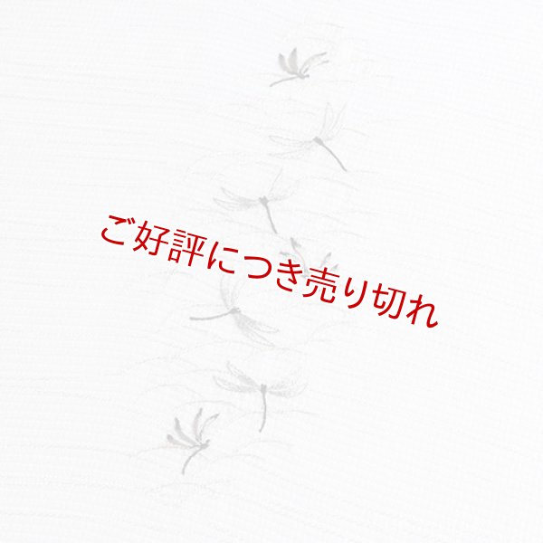 画像1: 帯揚げ 絽　刺繍露芝にとんぼ　（02） (1)