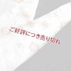 画像1: 黒留袖（礼装用）半襟　【化繊素材】【7000円】　（01）