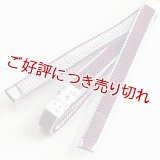 三分紐　耳付綾竹昼夜　似せ紫（にせむらさき）／灰青（はいあお）（22）