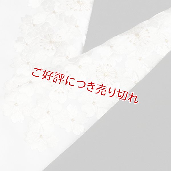 画像1: 黒留袖（礼装用）半襟　【化繊素材】【7000円】　（14） (1)