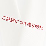 無地半襟　ふくれ織り　斜線柄　練色（ねりいろ）（04）