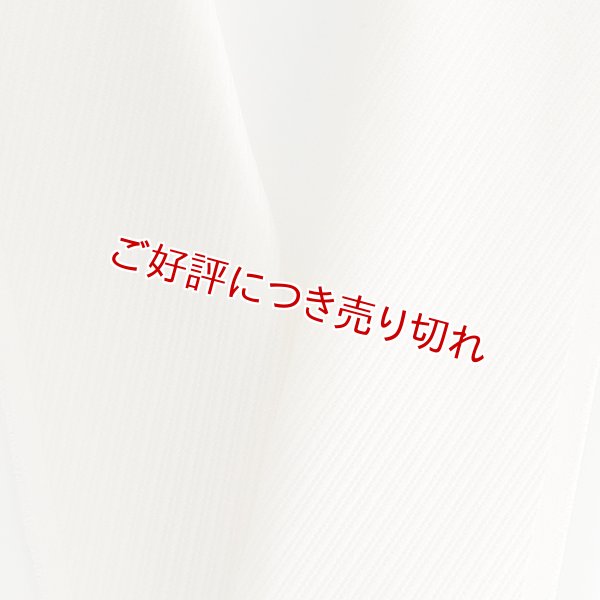 画像1: 無地半襟　ふくれ織り　斜線柄　練色（ねりいろ）（04） (1)