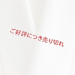 画像1: 無地半襟　ふくれ織り　斜線柄　白（14）