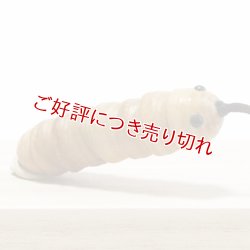 画像1: 黄楊根付　蚕（大）【岡壱名入り】（2024年11月20日掲載） ※桐箱付き