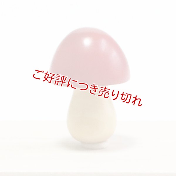 画像1: 黄楊根付　きのこ（B）【岡壱名入り】（2024年11月20日掲載） (1)