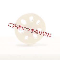 画像1: 黄楊根付　れんこん（A）（2024年11月20日掲載）