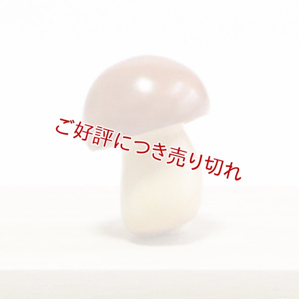 画像1: 黄楊根付　きのこ（A）【岡壱名入り】（2024年11月20日掲載） (1)