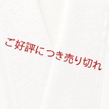 白半襟　柄　正絹　ビロード洋花唐草