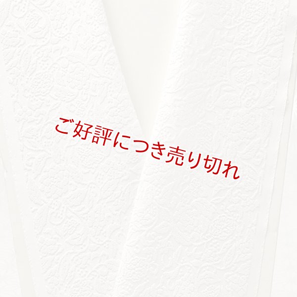 画像1: 白半襟　柄　正絹　ビロード洋花唐草 (1)