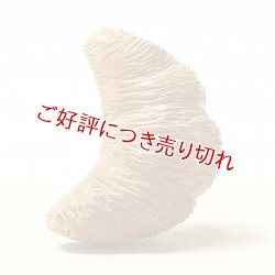 画像1: 黄楊根付　クロワッサン（B）【岡壱名入り】（2025年3月掲載）