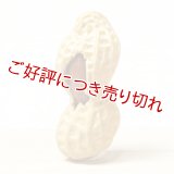 黄楊根付　落花生　1個実入り【岡壱名入り】【桐箱付き】（2025年3月掲載）