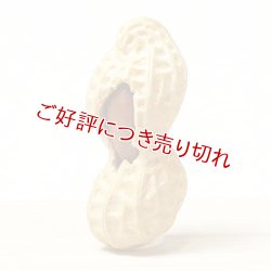 画像1: 黄楊根付　落花生　1個実入り【岡壱名入り】【桐箱付き】（2025年3月掲載）