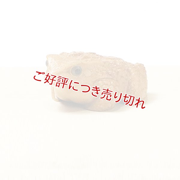 画像1: 黄楊根付　ちび蟇【岡壱名入り】【桐箱付き】（2025年4月掲載） (1)