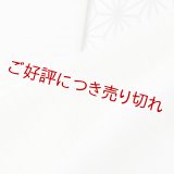 半襟　絽塩瀬無地　オフホワイト（02）