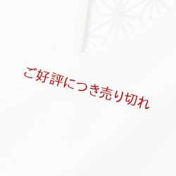 画像1: 半襟　絽塩瀬無地　オフホワイト（02）