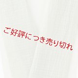 半襟　麻絽無地　山葵色（わさびいろ）（22）