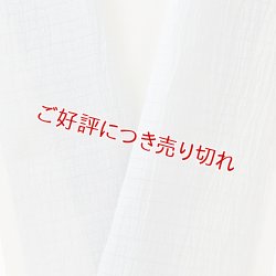 画像1: 半襟　麻絽無地　パウダーブルー（32）