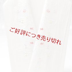 画像1: 半襟　麻絽 刺繍いろいろ　（11）