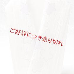 画像1: 半襟　麻絽 刺繍いろいろ　（07）
