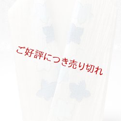 画像1: 半襟　麻絽 刺繍いろいろ　（08）