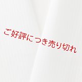 夏物白半襟　化繊素材　ポリエステル　竪絽
