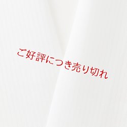 画像1: 夏物白半襟　化繊素材　ポリエステル　竪絽