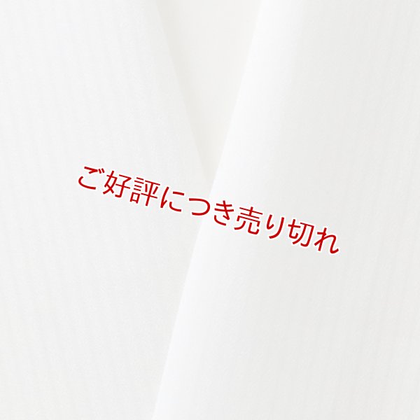 画像1: 夏物白半襟　化繊素材　ポリエステル　竪絽 (1)