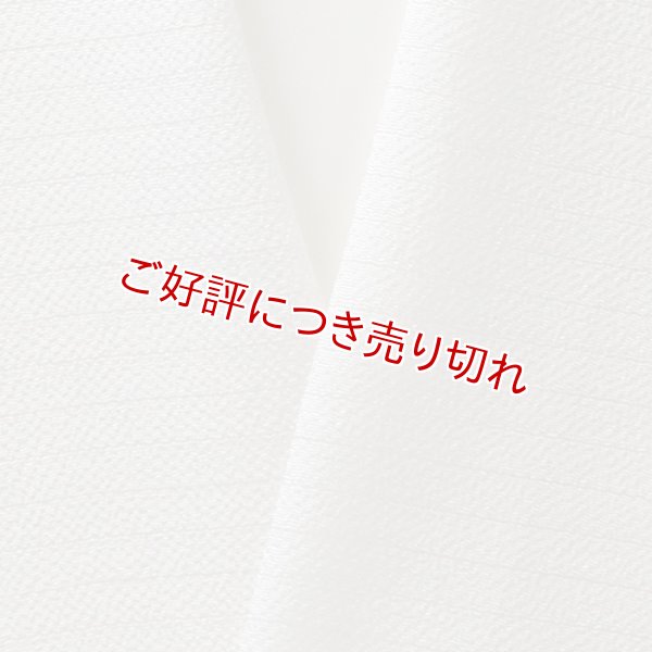 画像1: 夏物白半襟　天然素材　正絹　絽縮緬 (1)