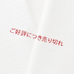 画像1: 夏物白半襟　天然素材　正絹　竪絽
