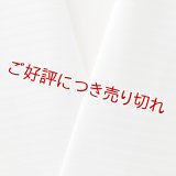 夏物白半襟　化繊素材　ポリエステル絽　バイヤス