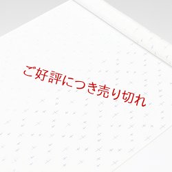 画像1: 帯揚げ　絽二色立別十字絣　（01）