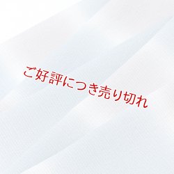 画像1: 帯揚げ　絽二色段染め銀ちらし　（03）