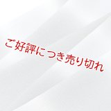 帯揚げ　絽二色段染め銀ちらし　（05）
