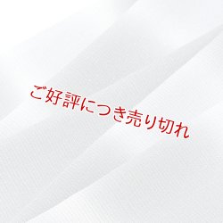 画像1: 帯揚げ　絽二色段染め銀ちらし　（05）