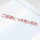 帯揚げ　竪絽半々ぼかし　（04）
