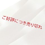 帯揚げ　絽二色段染め銀ちらし　（01）